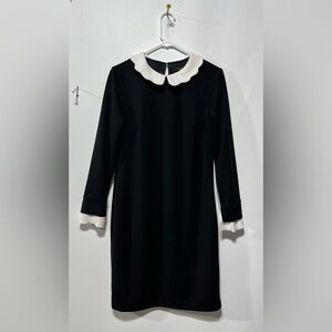 ILE New York Dress‎ Black Dress with White Accents Size 8